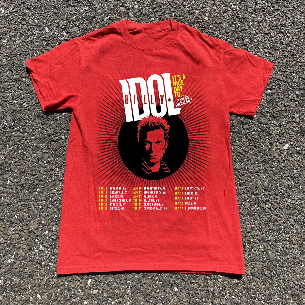 Billy Idol Its A Nice Day To Tour Again 2026 T-shirt TU1957 | eBay