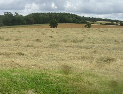 Foto 6x4 geschnittenes Gras für Silage Kirche Oakley c2016