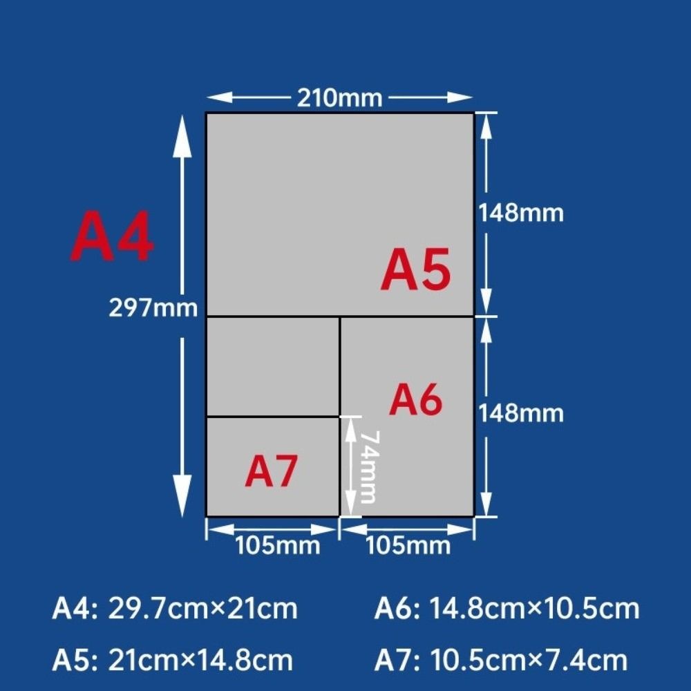 Afbeelding 5 van 12