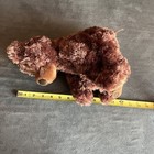 Foto 15 di 15