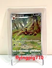 Pokémon TCG Exclusive Chinese Gem Vol.2 Umbreon CBB2C 06 15 Holo Card