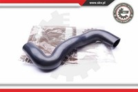 Esen SKV Ladeluftschlauch FüR Peugeot 406 Break 2.0 Hdi 110 CitroëN C5 III