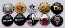 Champagne Sparkling Wine Caps & Corks Plaques Set 10 pcs Collectible