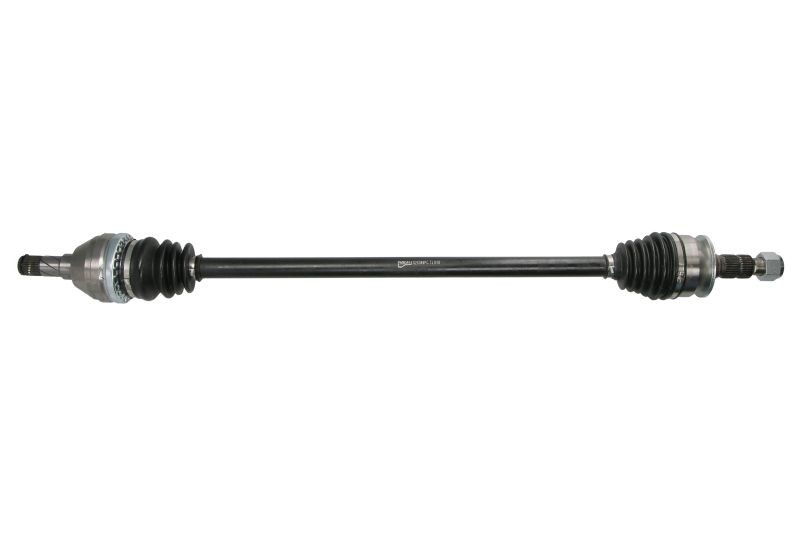 Picture 1