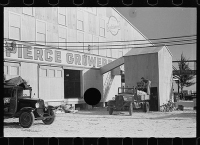 Fort Pierce fruit Canning Plant,Florida,FL,January 1937,Arthur Rothstein,FSA,2