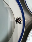 7, 1910 Russian Imperial Manufactory The Tsarskoe Selo Porcelain Dinner Plates. — photo 4