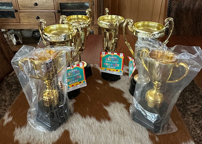 Lot of 6 NEW Gold Plastic Award/Party Trophies 2 Sizes 7'' (2)  & 9'' (4)