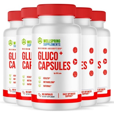 WellSpring Gluco Capsules Blood Health+Optimizer Support 300 Capsules Supplement