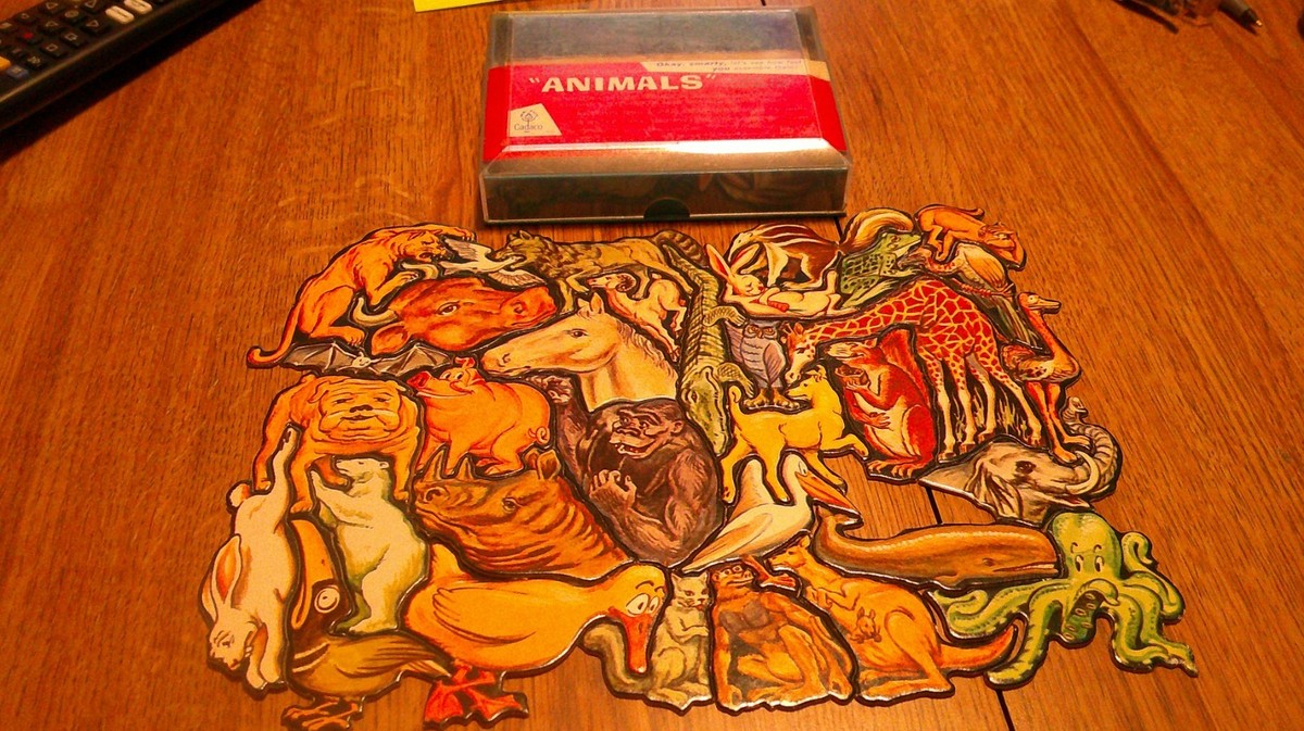 アニマルカードセット Zoo52 Animal Playing Card Packs | Talking Point Cards