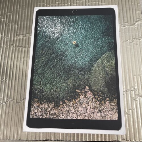 Apple 10.5" iPad Pro 1st Gen WiFi  64GB / MQEY2LL/A   EMPTY BOX ONLY - Picture 1 of 5