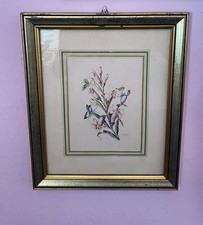 2 vecchie stampe di Fiori ,con  cornice vintage
