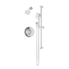 Symmons Birch Shower and Hand Shower Trim with VersaFlex Integral Diverter