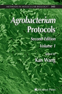 Wang - Agrobacterium Protocols   Volume I - New paperback or softback - X555z