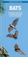 James Kavanagh (U. A.) | Bats | BroschüRe | Englisch (2016) | Waterford Press