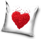 Bild 6 von 6