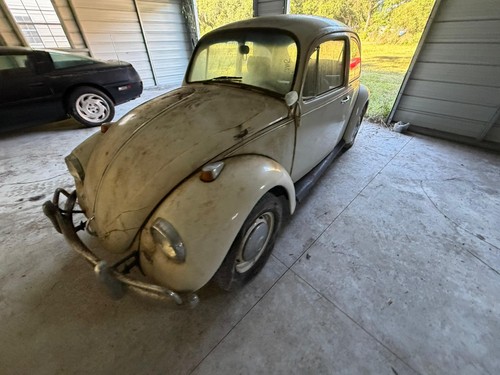 1967 Volkswagen Beetle - Classic