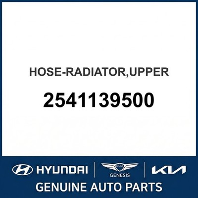 2000-2005 Hyundai XG300 Schlauch - Kühler oben OEM Neu 2541139500