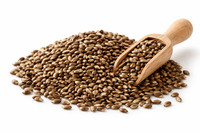 1 Kg Mariendistelsamen Ganze Mariendistel Samen 1A Bio-QualitäT
