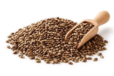 1 kg Mariendistelsamen Ganze Mariendistel Samen 1A BIO-Qualität