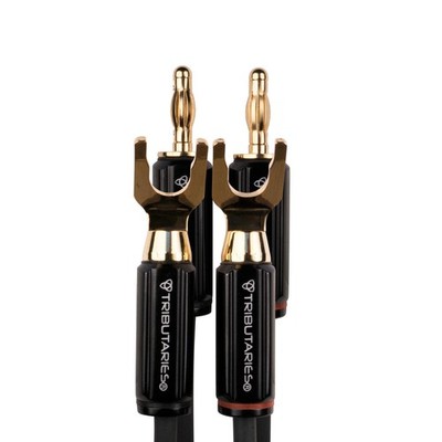 Tributaries 4SP-B-100D 10 Foot Series 4 Star-Quad Speaker cable