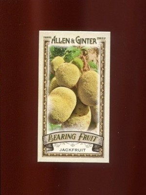 2022 Topps Allen & Ginter Bearing Fruit Minis #BF-10 Jackfruit