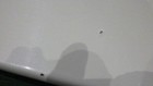 Picture 8 of 9