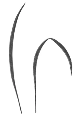 Weizen Roggen Motiv aus Rohstahl Blumenmotive Kunstschmiede H305 -460 mm