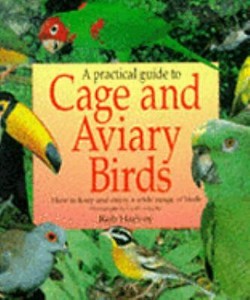 rob harvey bird cages