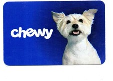 Chewy Cute Dog Gift Card No $ Value Collectible 2024