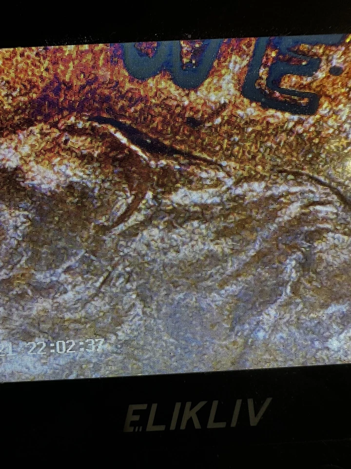 1938  D DDO, Reverse doubled Lettering, lamination Break & Die Breaks - Image 4 of 4