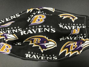 ebay baltimore ravens