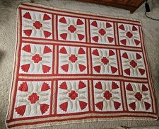 Antique Applique Tulip Quilt