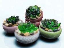 Handgefertigte Seeglas Sukkulenten Pflanzen 