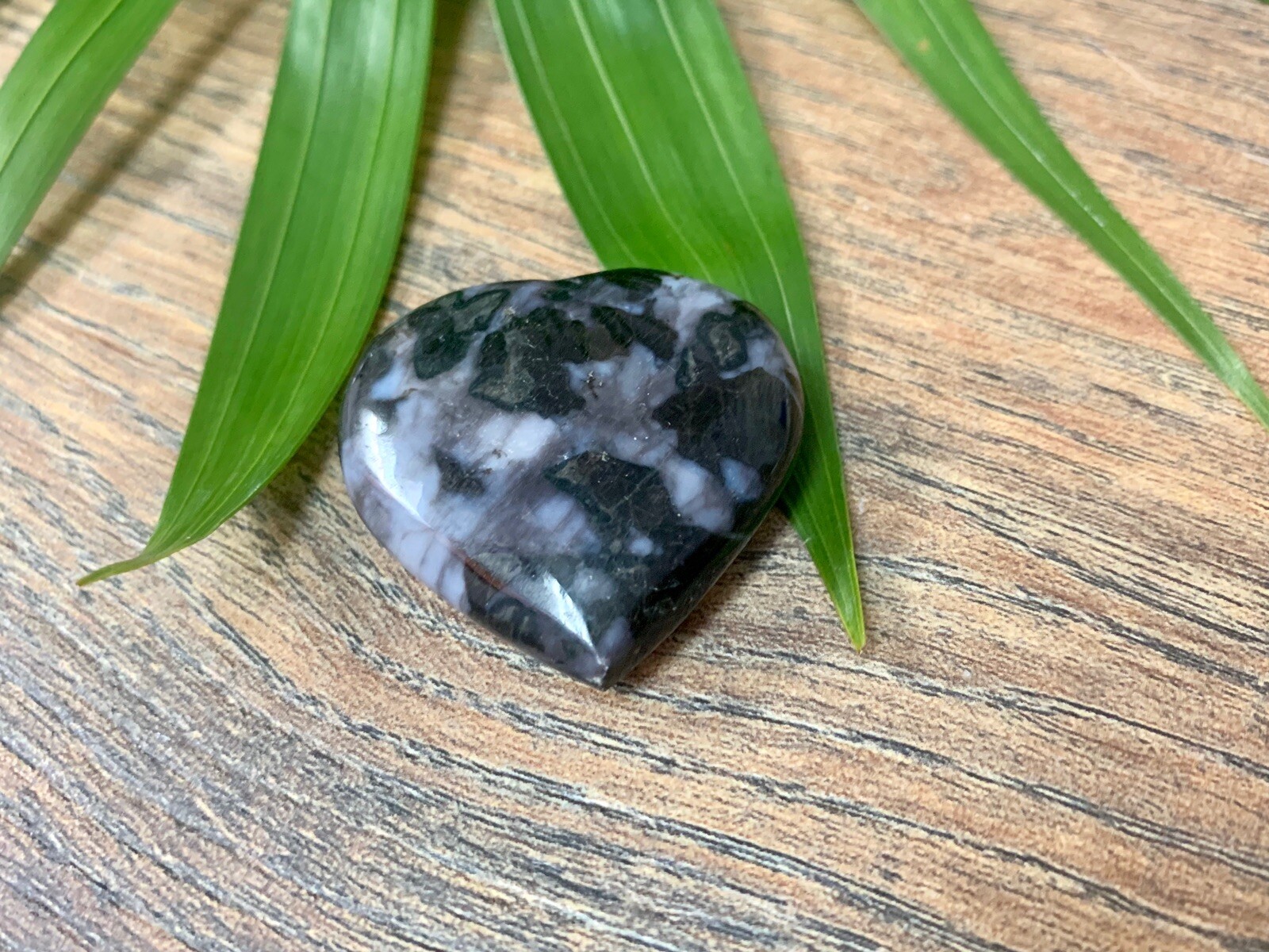 Picture 5 of 12