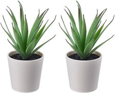 Artificial Succulent Desk Plant in Pots 6 cm SET OF 2