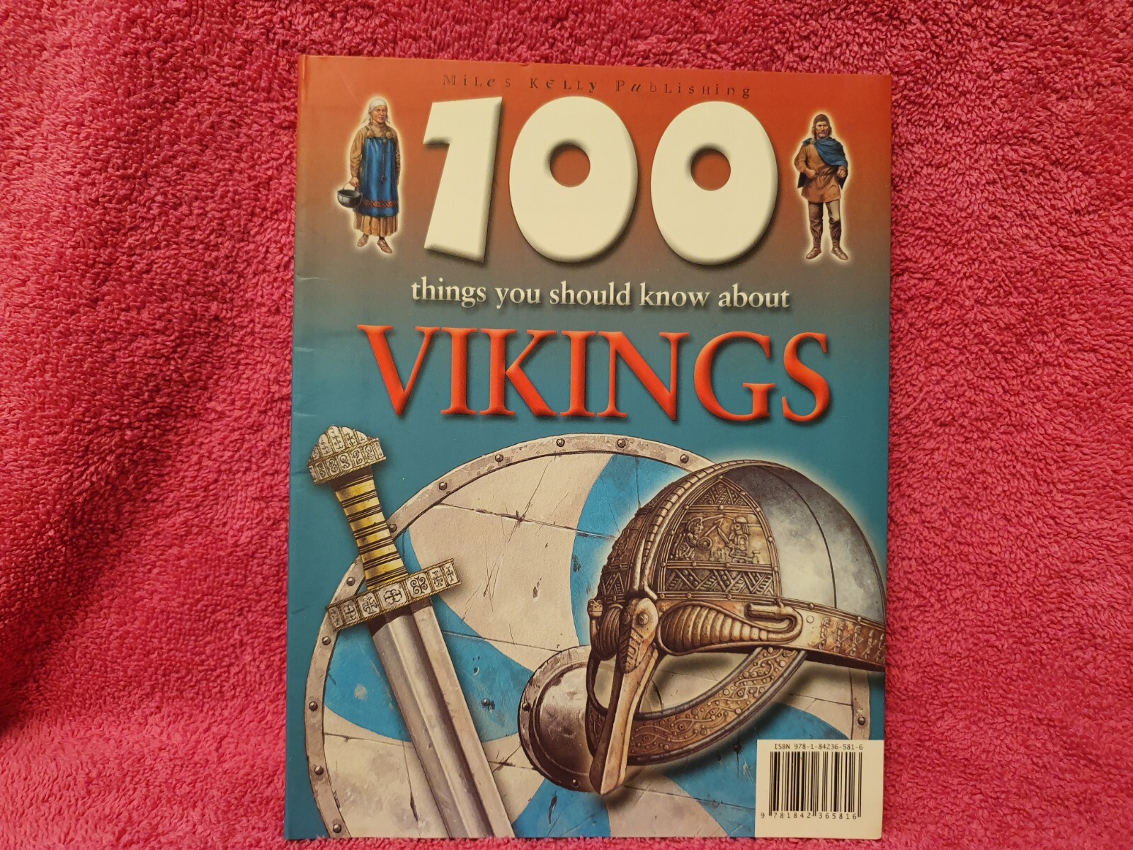 100 Things You Should Know About Vikings book