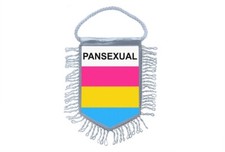 Mini Flag Car Decoration Pansexual Rainbow