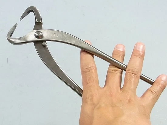 Kaneshin Bonsai Herramientas Tronco Divisor Acero Inoxidable No.811 210mm Japón NUEVO Foto 3 de 4