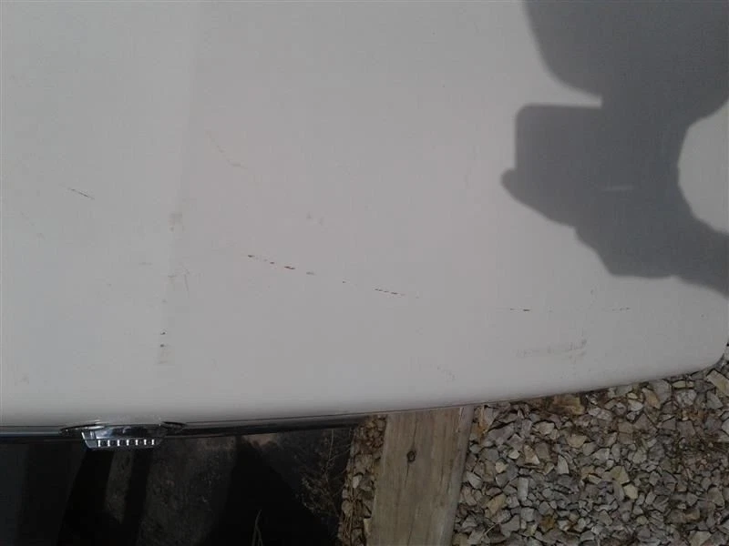 (LOCAL PICKUP ONLY) Trunk/Hatch/Tailgate Fits 89-93 DEVILLE 264979 Foto 4 de 4