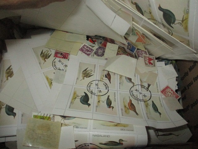 Picture 4 of 6