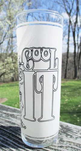 Vintage Frosted Drinking Glass Superior Collection 1977 BBQ COOL IT Federal