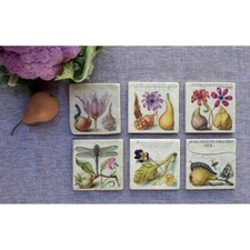 Joris Hoefnagel Floral Coasters, Set of 2, NWT