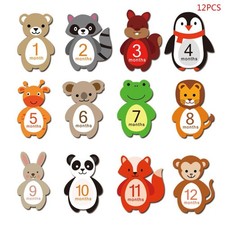 Baby Photography Props Photo Stickers Newborn Infant Monthly Milestone Sticker