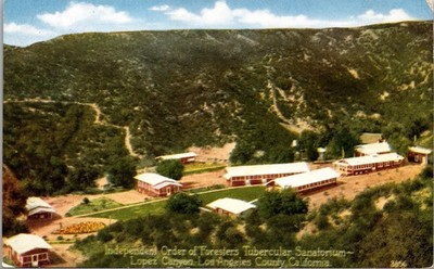 Foresters Tubercular Sanatorium Lopez Canyon California Postcard