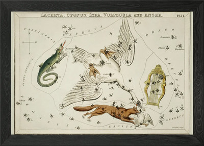 Tierkreis uralt gerahmtes Wandbild Poster Leinwanddruck Bild