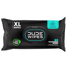 Mint Chill Adult Flushable Wet Wipes, Refreshing, 48 Count