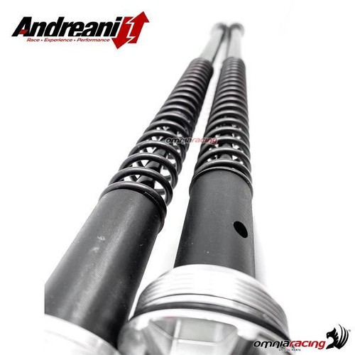 Cartouches Andreani Misano Evo pour Kayaba 41 pour Yamaha YZF750R 1993>1998 - Photo 3/9