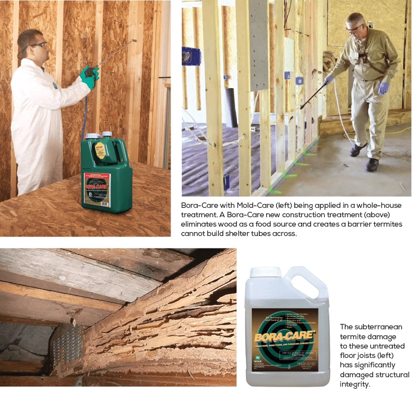 Bora-Care Termite Control BoraCare Termiticide & Borate Fungicide - 1 Gallon - Image 3 of 4