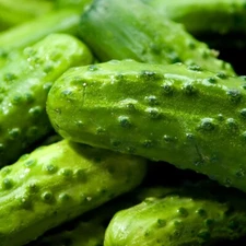 1/4 Lb National Pickling Cucumber Seeds - Everwilde Farms Mylar Seed Packet