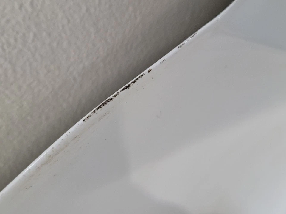  2015 2016 2017 2018 2019 2020 2021 KIA SEDONA Hood White  Foto 2 de 4